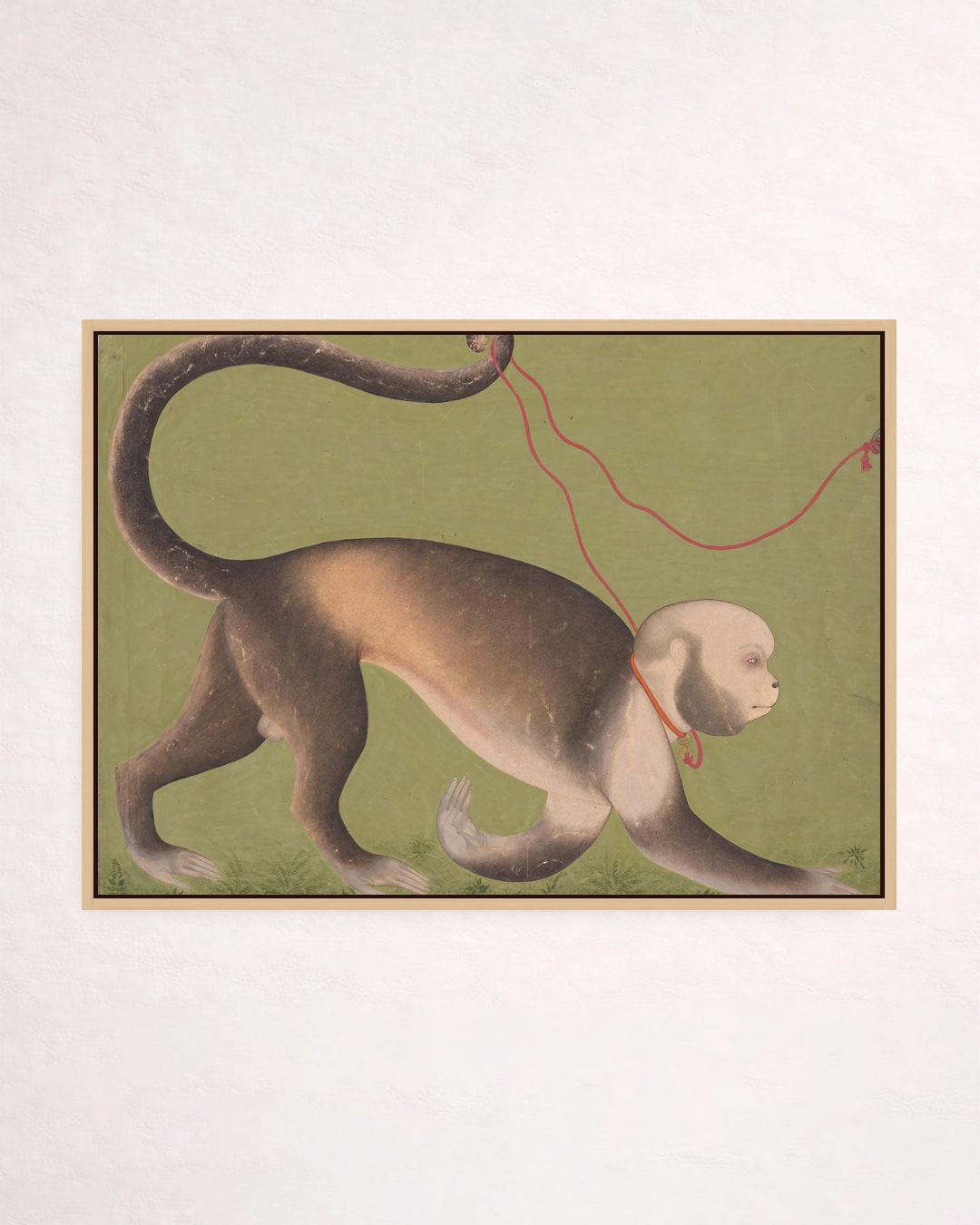 A Monumental Portrait of a Monkey