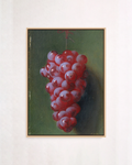 Still Life with Grapes