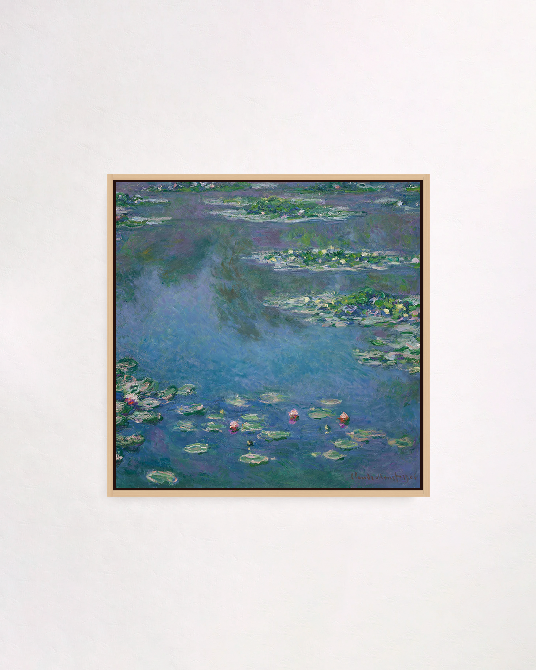 Water lilies