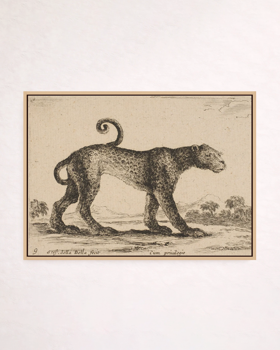 Leopardo
