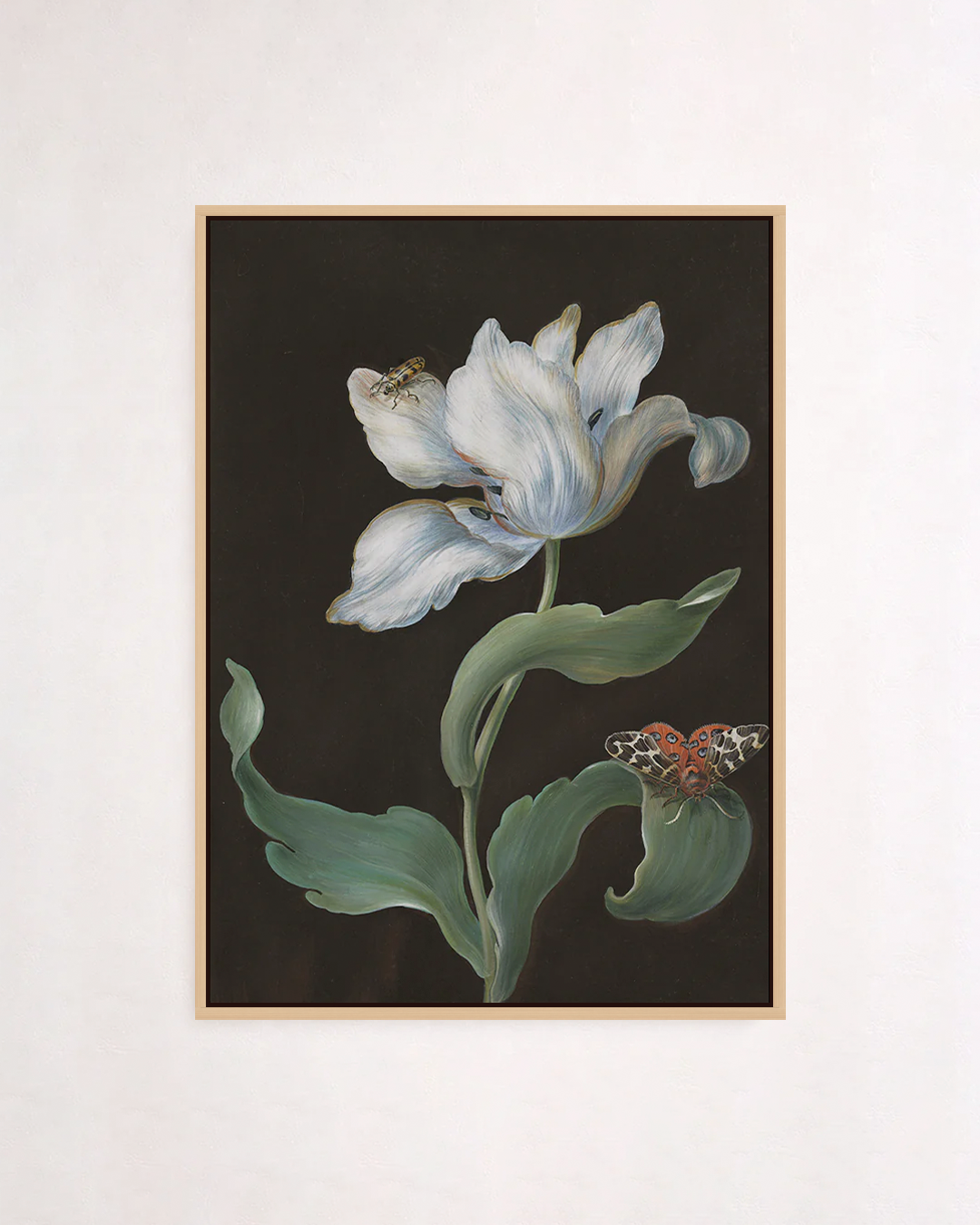 A tulip, a butterfly, and a beetle