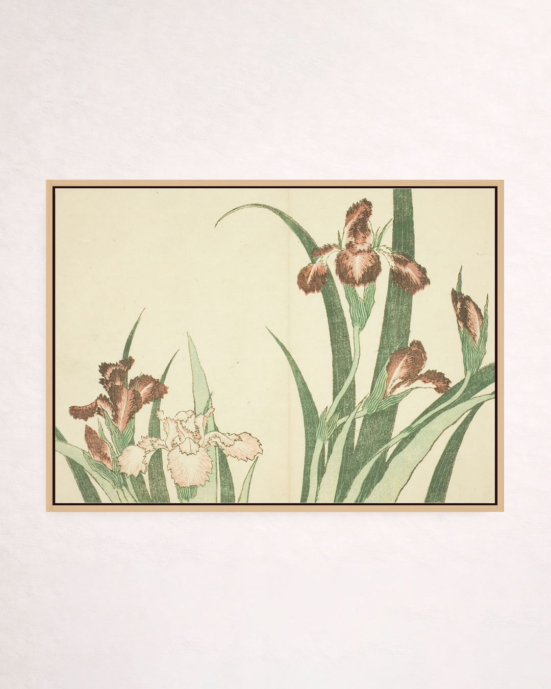 Iris, from The Picture Book of Realistic Paintings of Hokusai