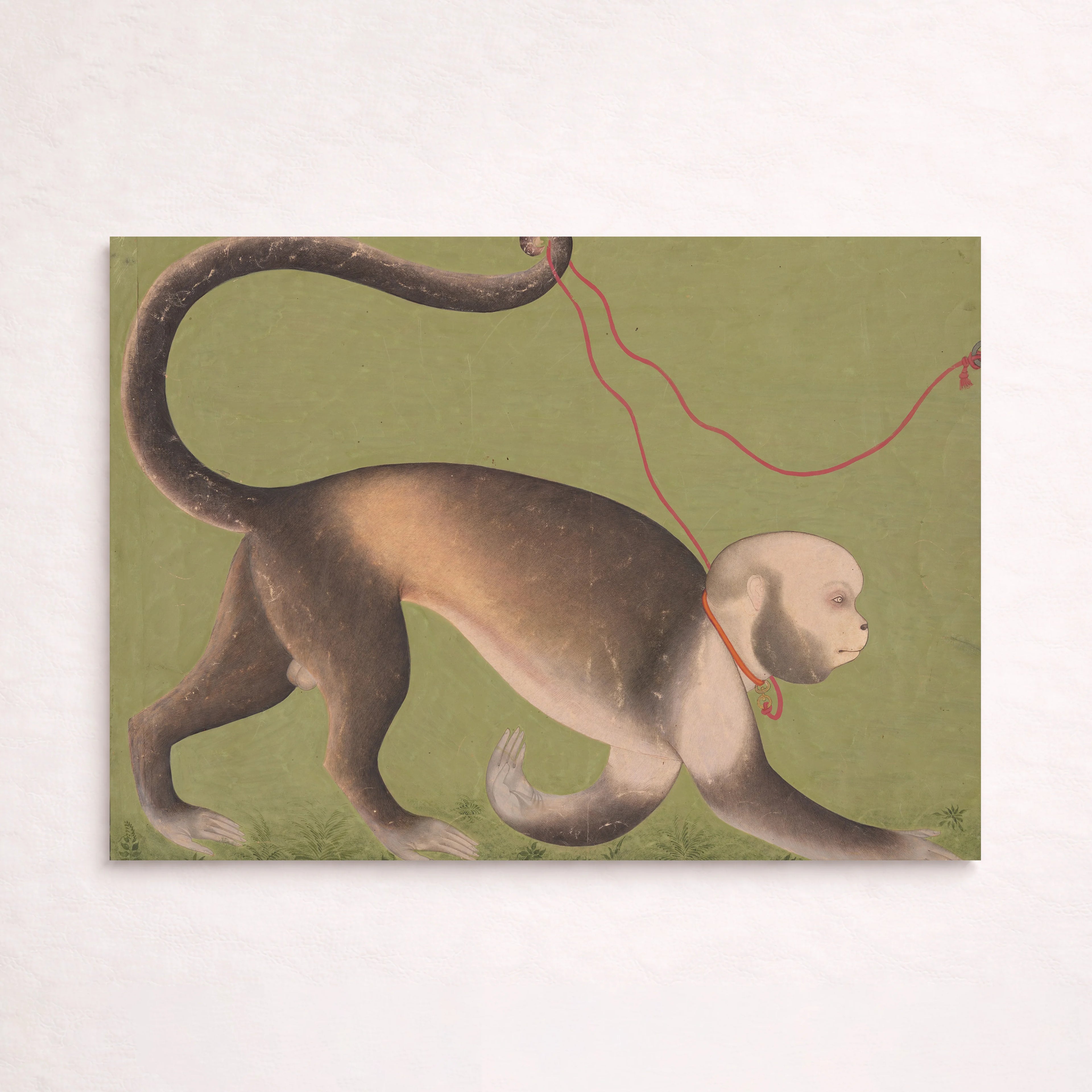 A Monumental Portrait of a Monkey