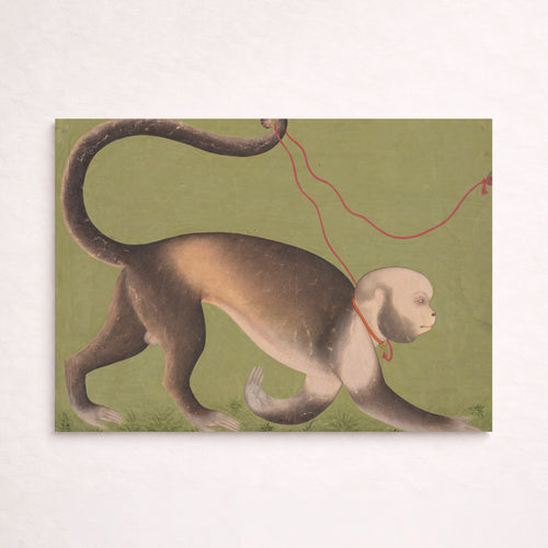 A Monumental Portrait of a Monkey