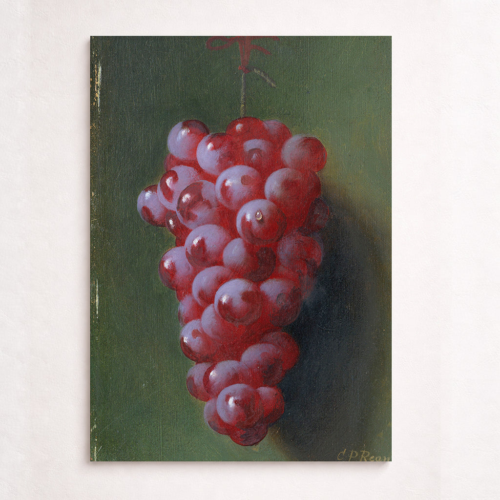 Still Life with Grapes