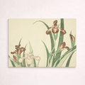 Iris, from The Picture Book of Realistic Paintings of Hokusai
