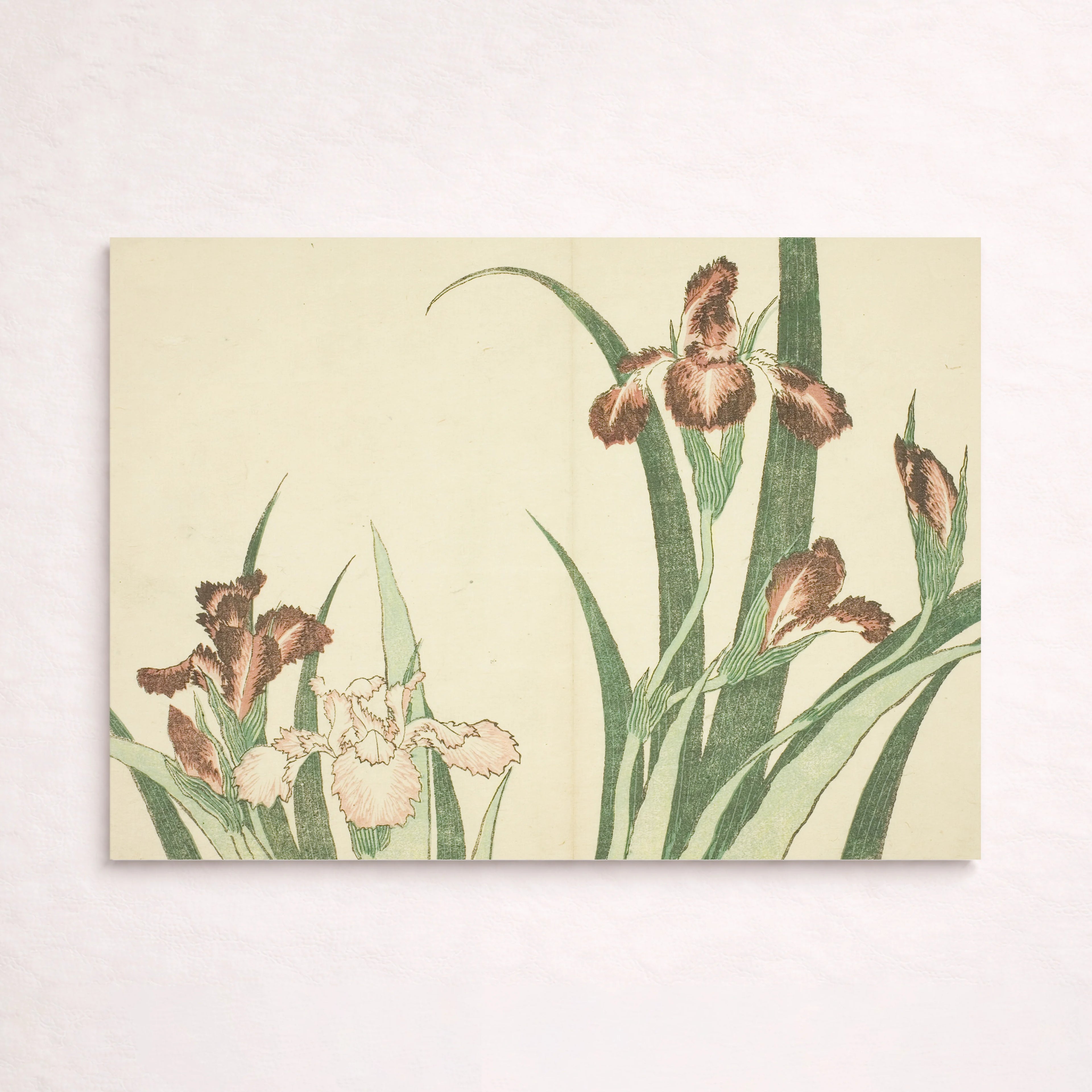 Iris, from The Picture Book of Realistic Paintings of Hokusai
