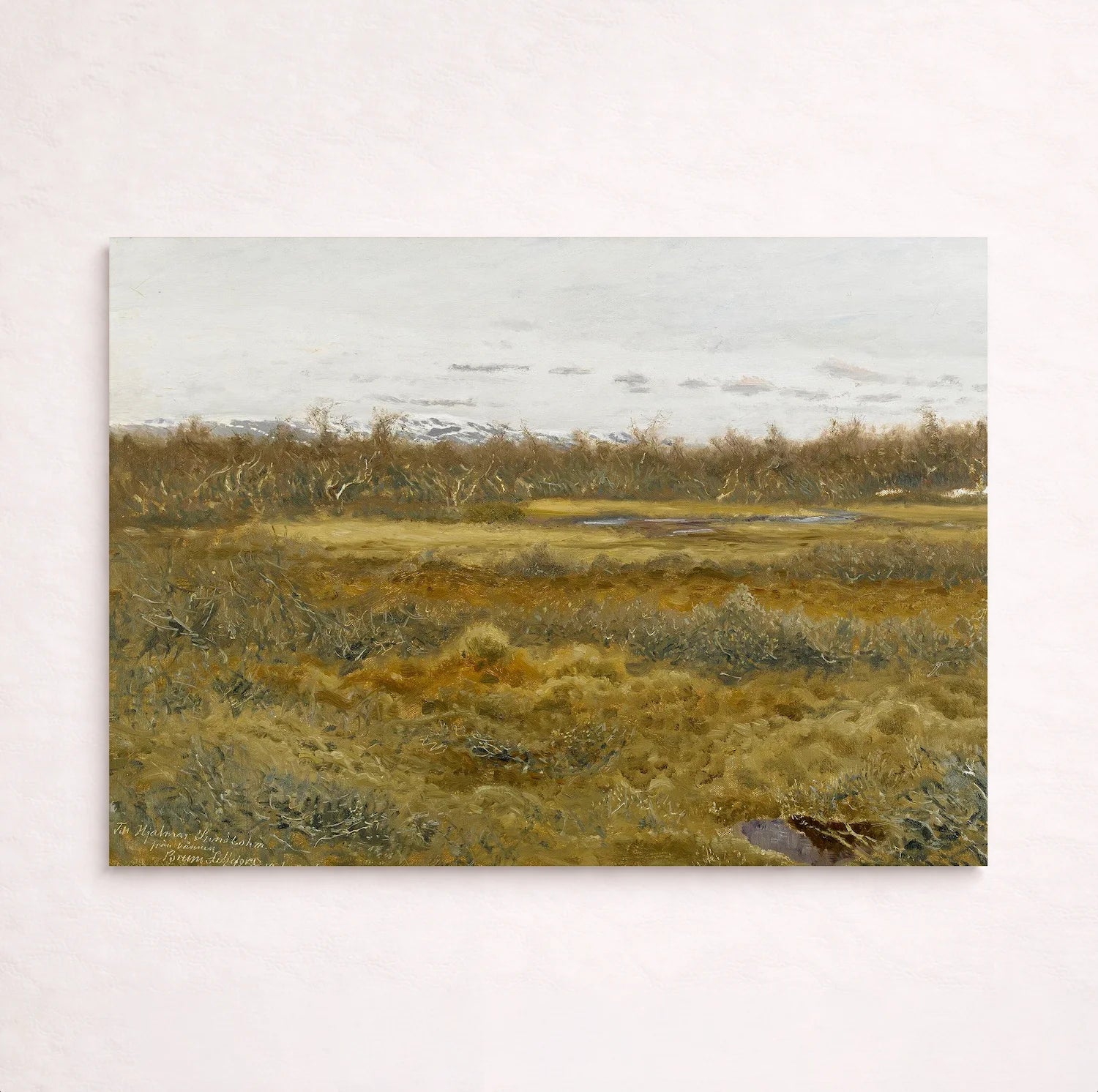 Landscape with fell