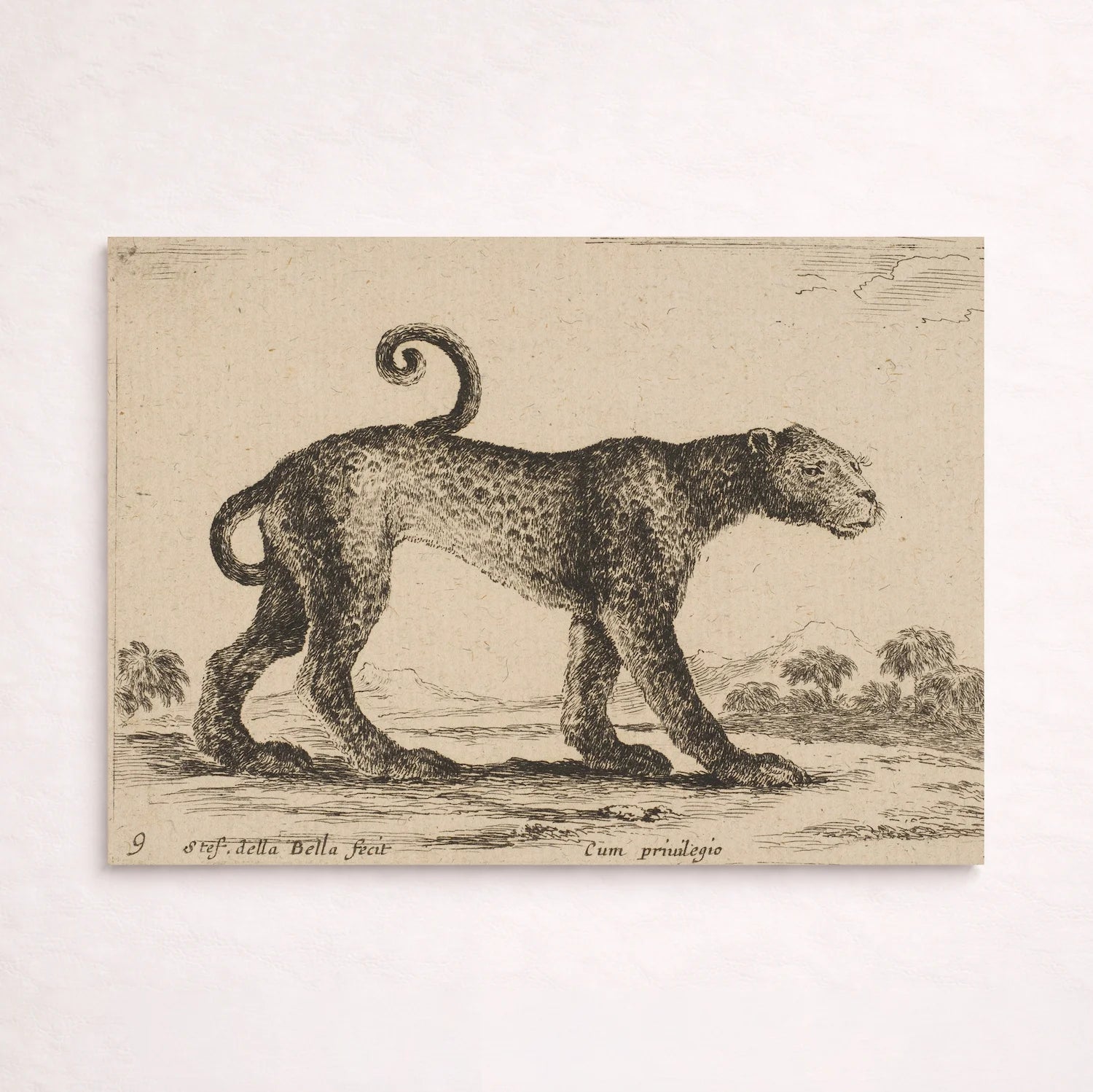 Leopardo