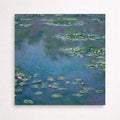 Water lilies